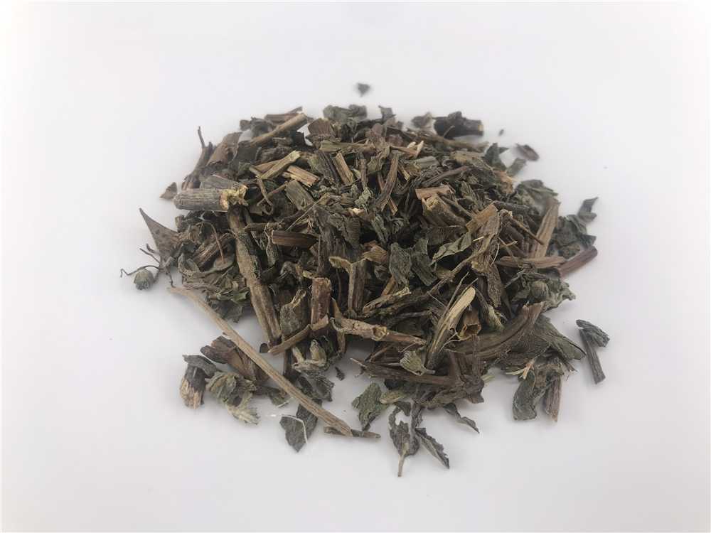 墨旱莲图片