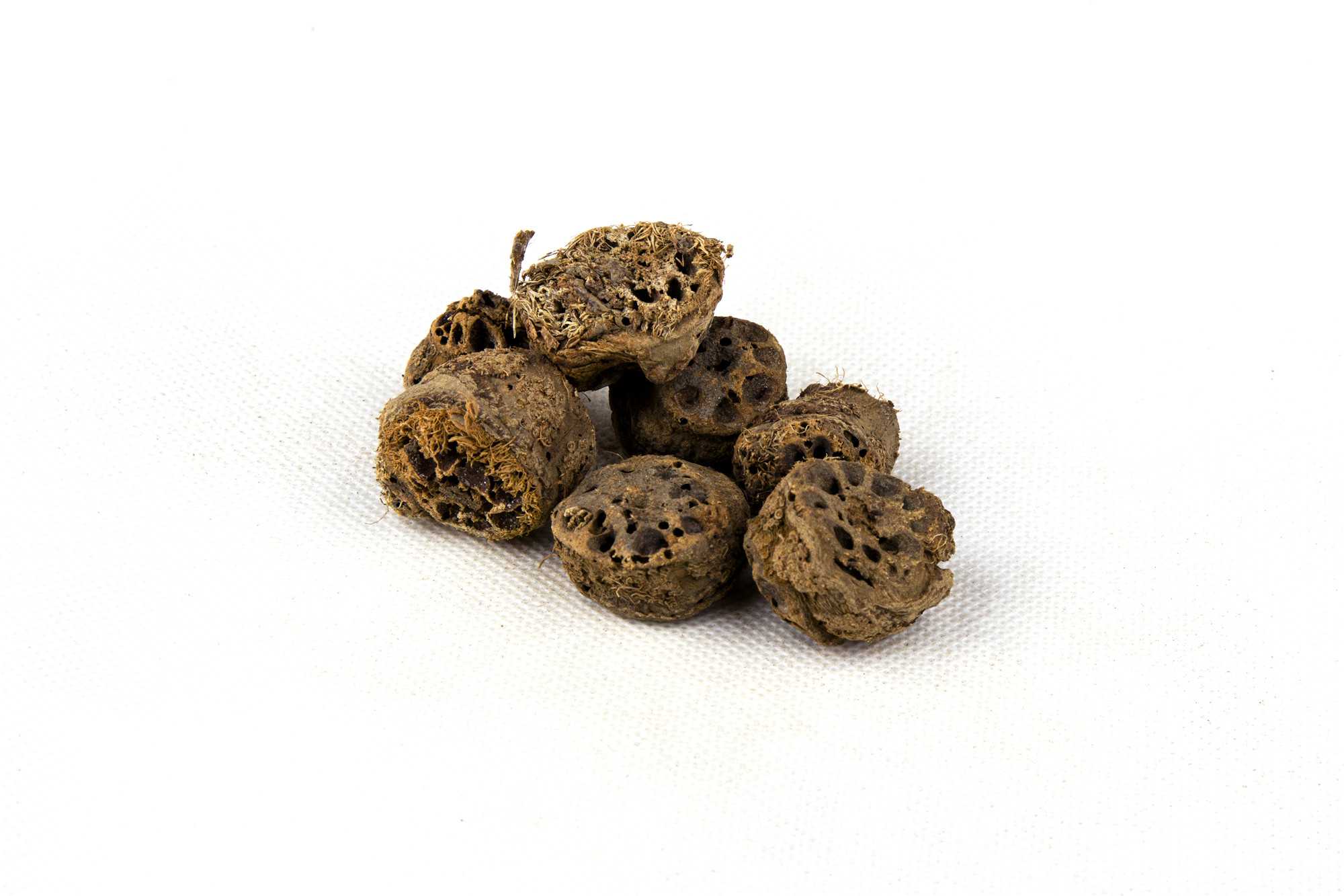 藕节图片