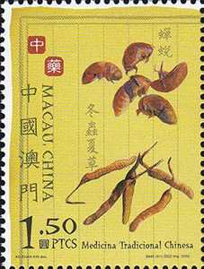 蝉的诗和远方