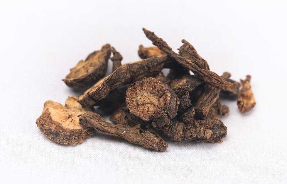 羌活图片