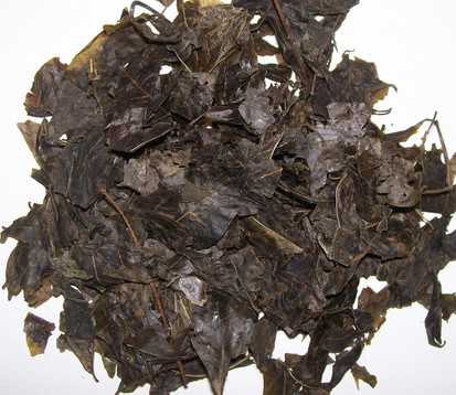 三白草图片
