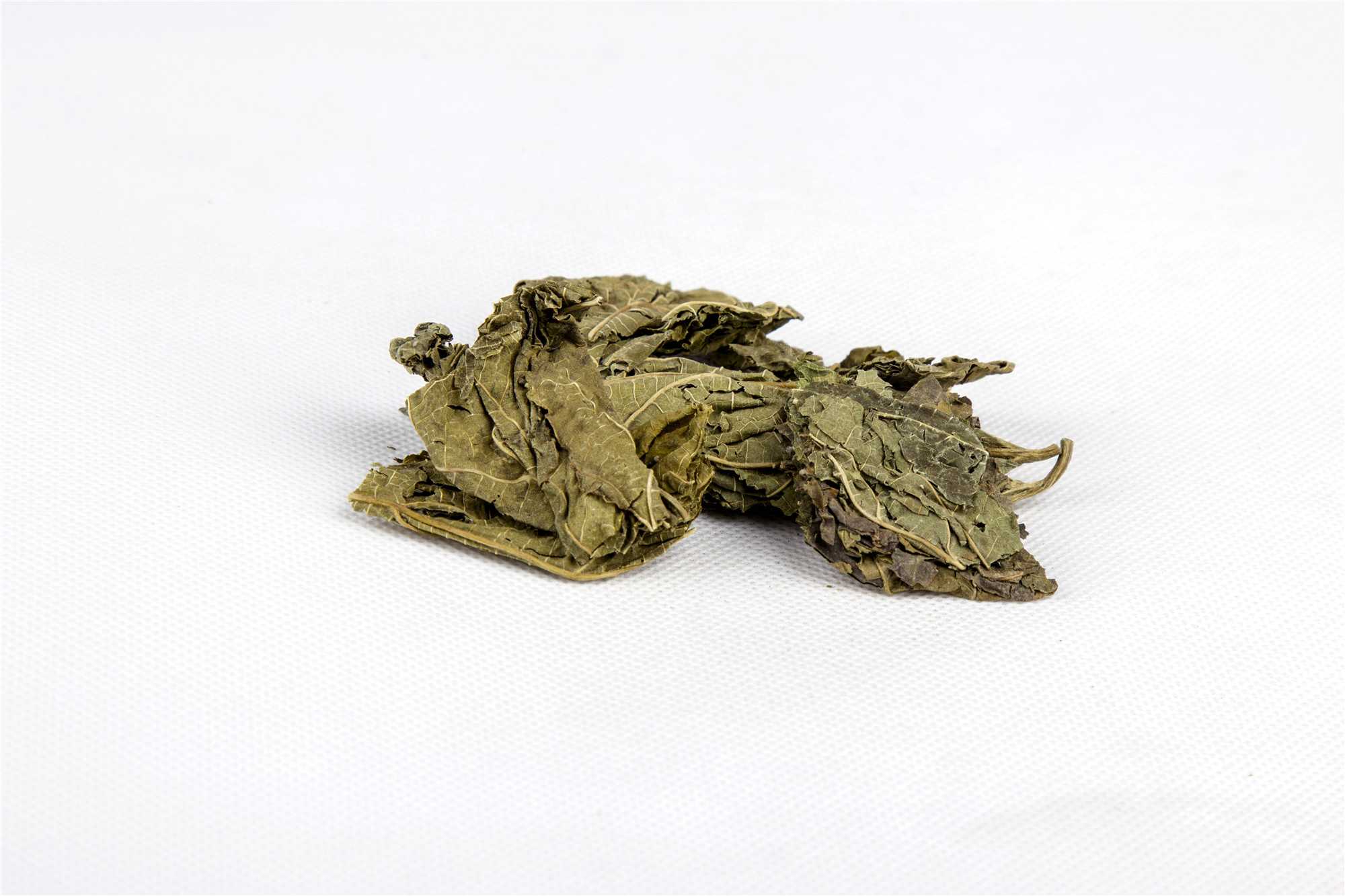 桑叶图片