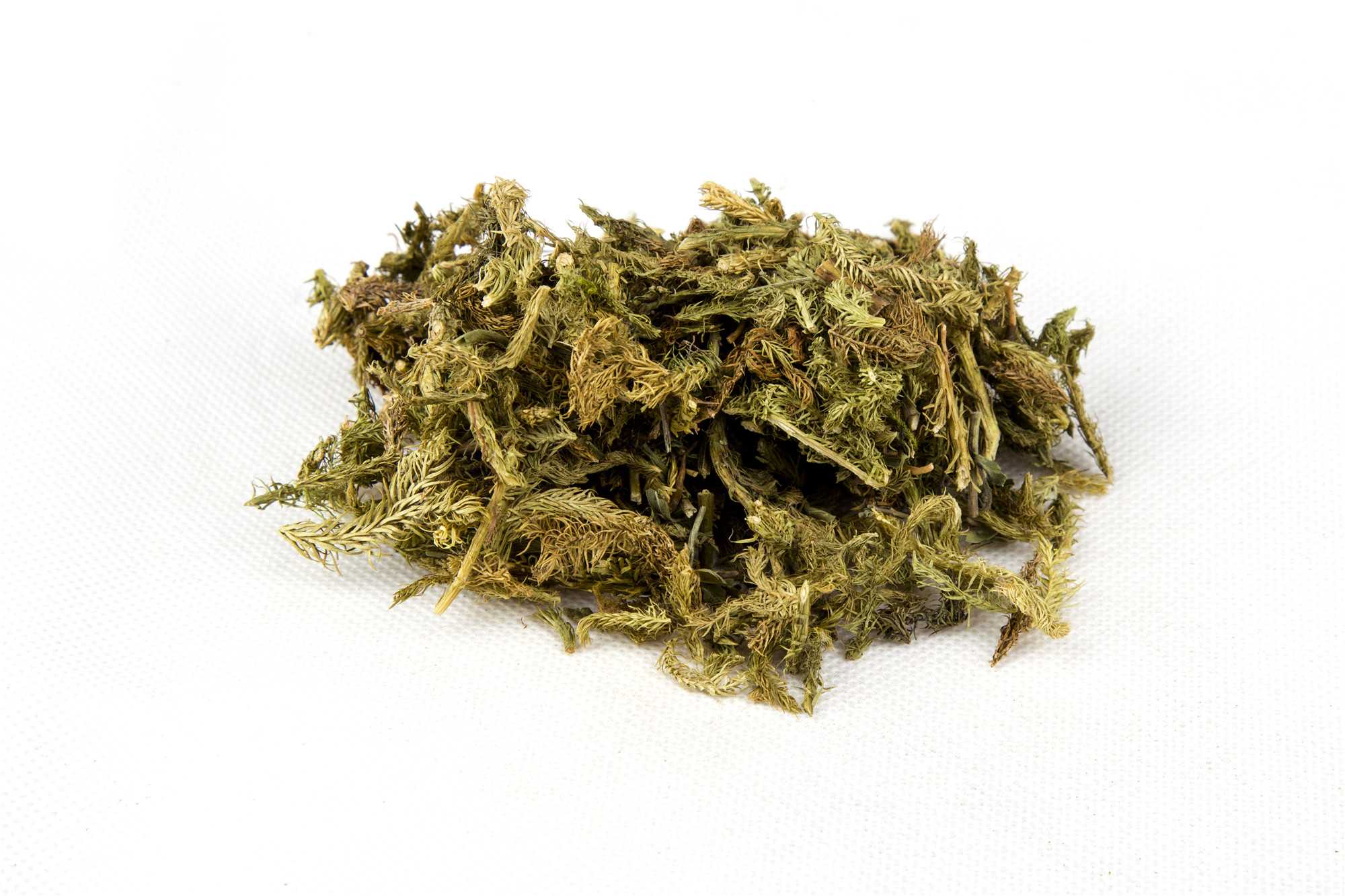 伸筋草图片