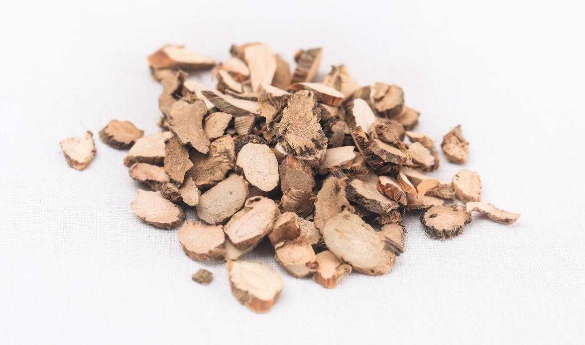 石菖蒲图片