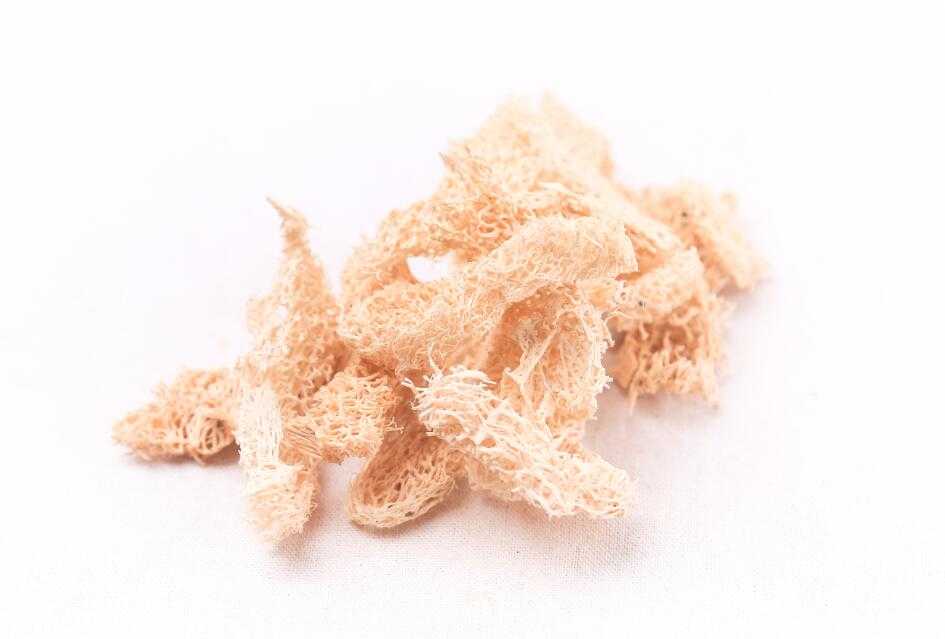 丝瓜络图片