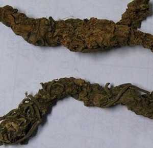 算盘子根图片
