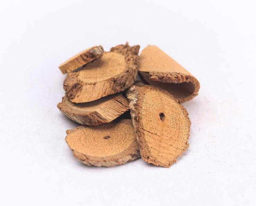 藤梨根图片