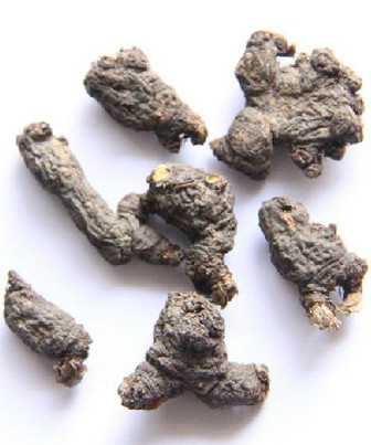 天葵子图片