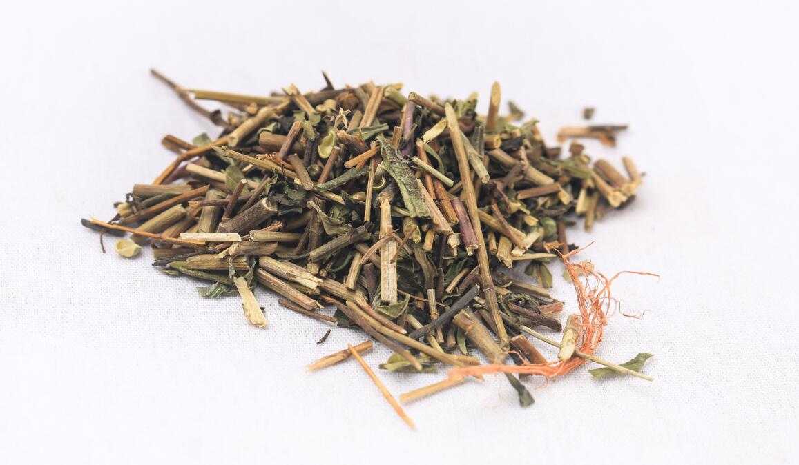 透骨草图片