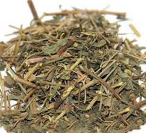 透骨香根图片