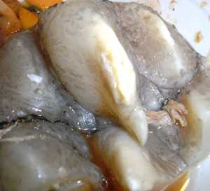 鼍肉图片