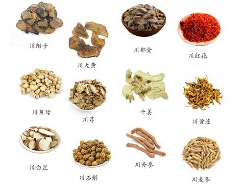 诗词中的四川道地药材及川药赏析