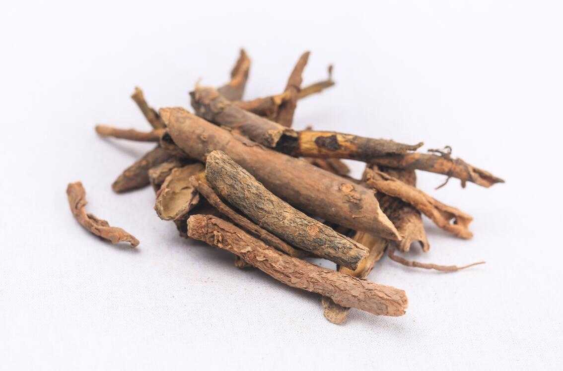 五加皮图片