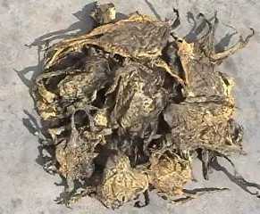 虾蟆皮