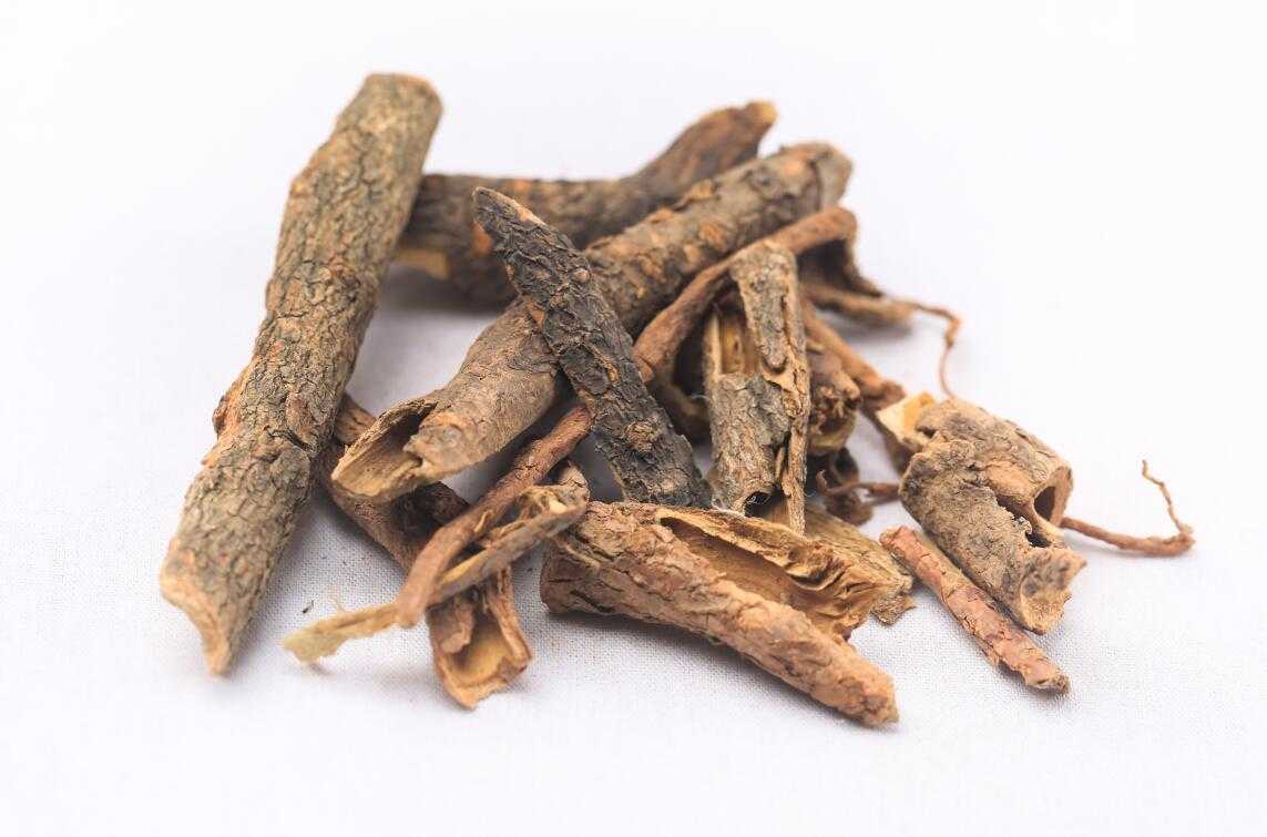 香加皮图片