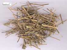 香茅图片