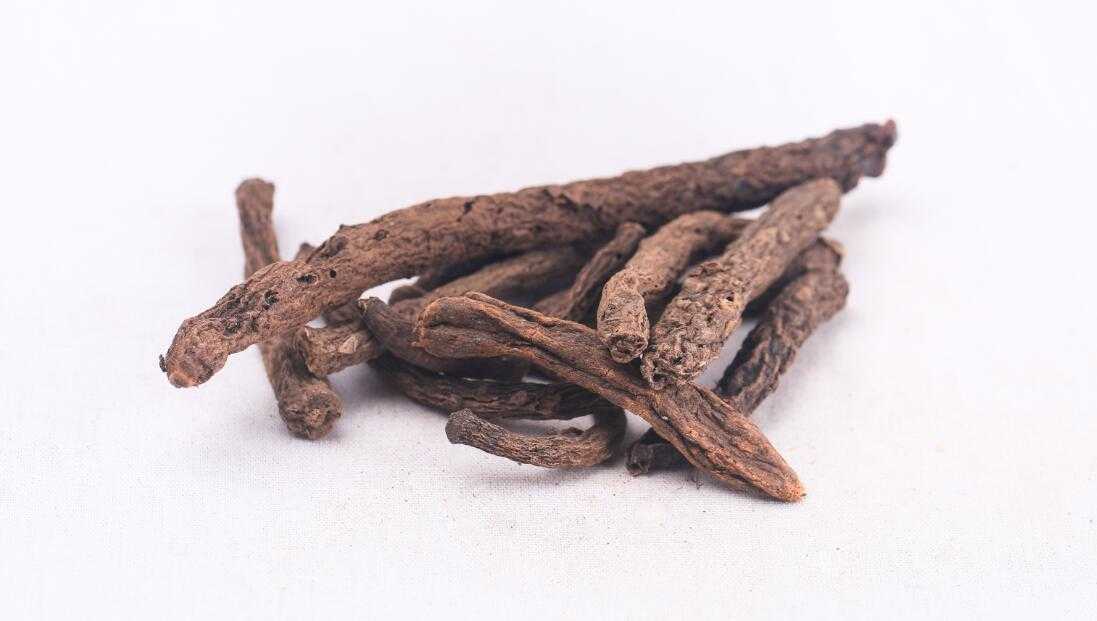 仙茅图片