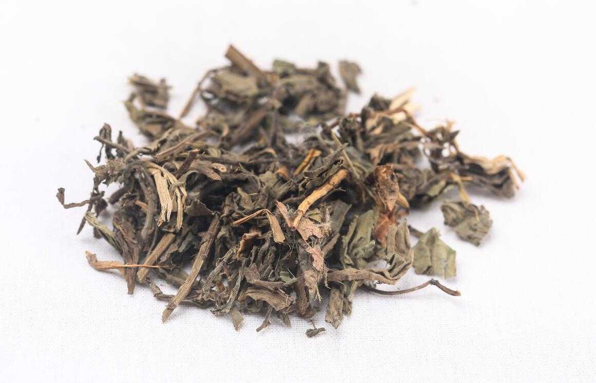 小蓟图片