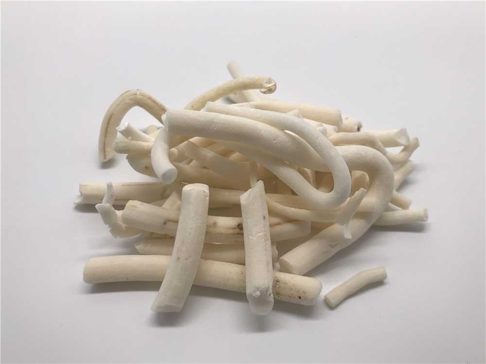 小通草图片
