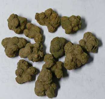夏天无图片