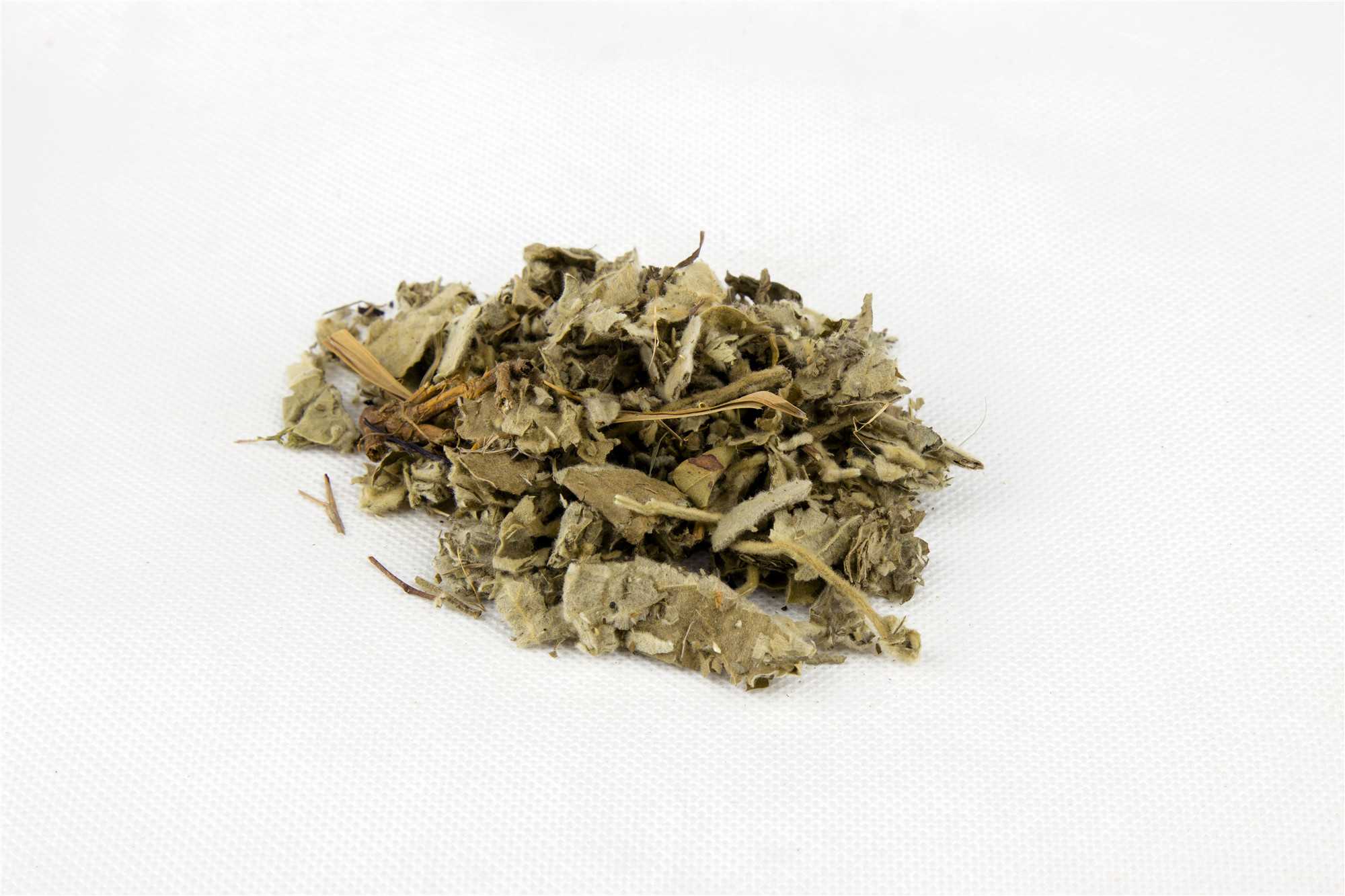 寻骨风图片