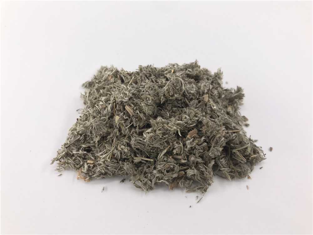茵陈图片