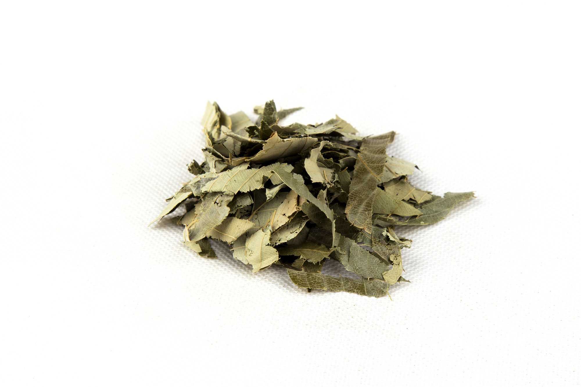 淫羊藿图片