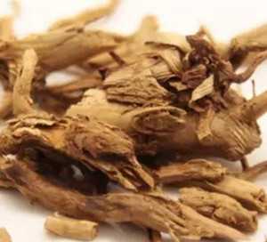 薏苡根图片