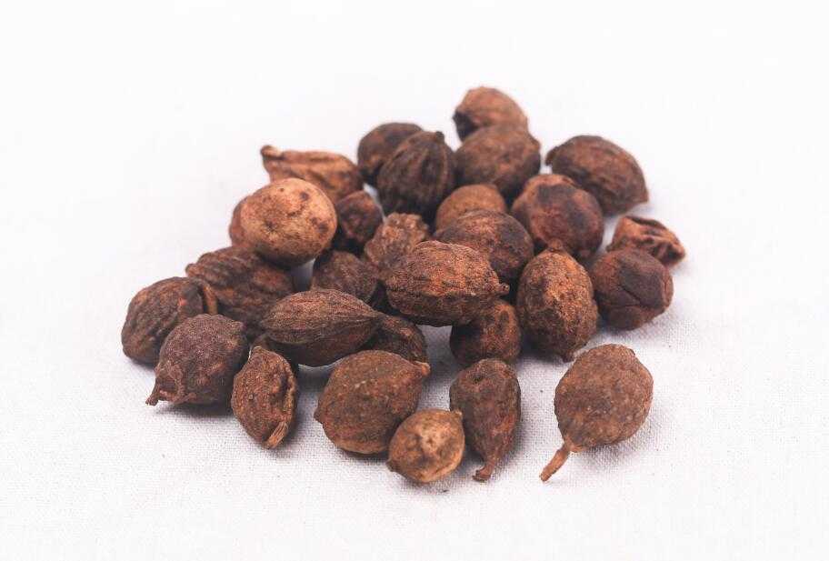 益智仁图片