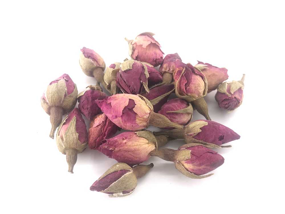 月季花图片