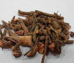 云南茜草图片