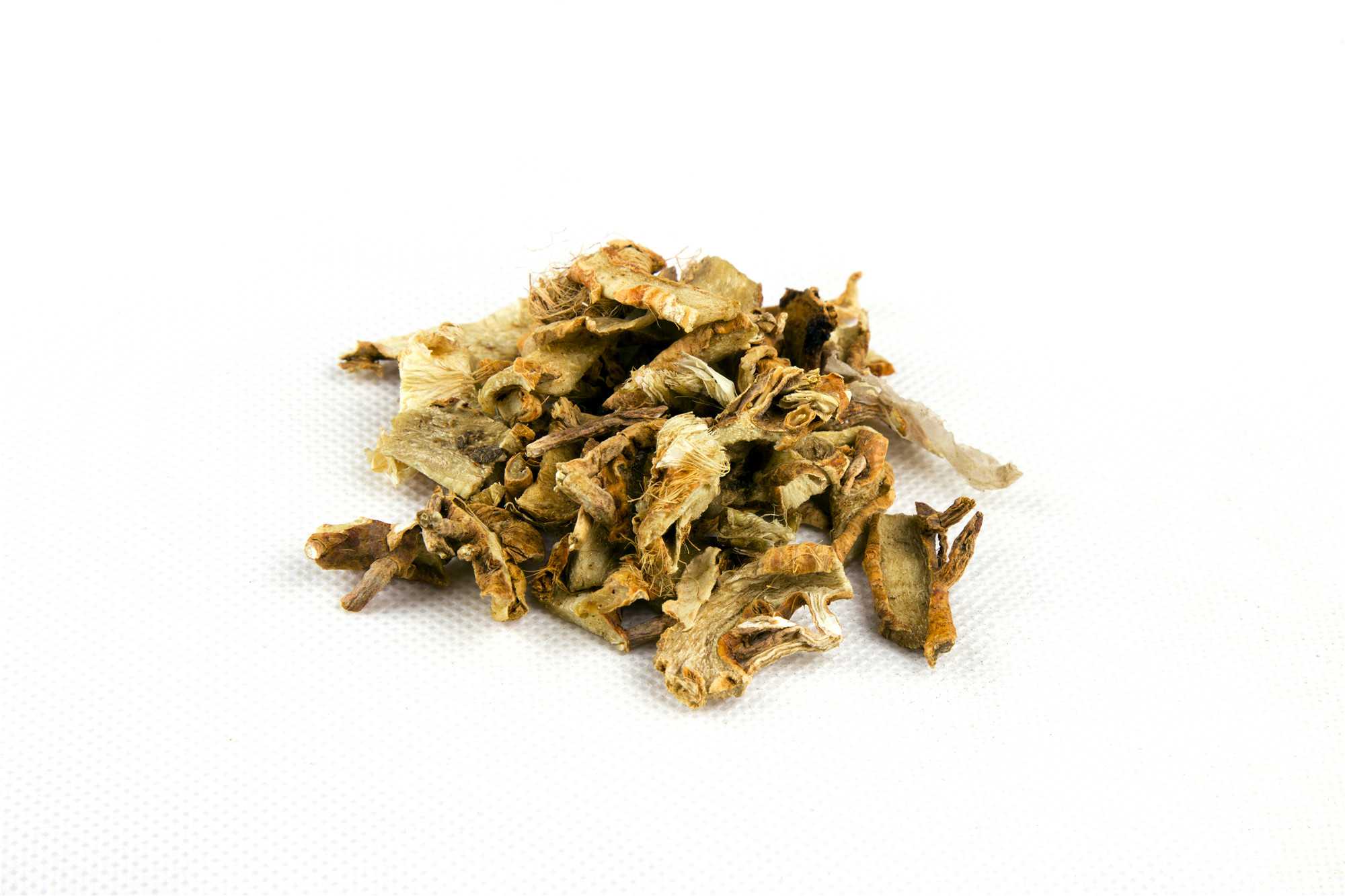 知母图片