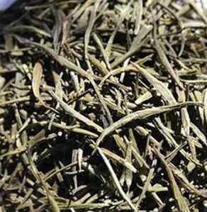 竹卷心图片