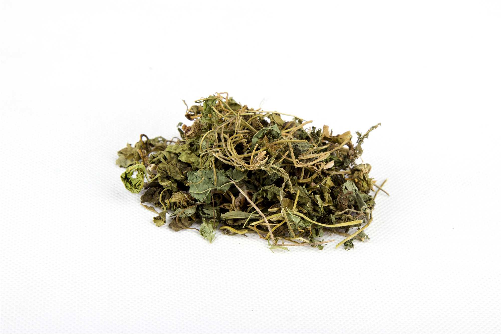 紫花地丁图片