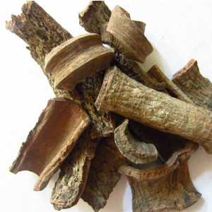紫荆皮图片