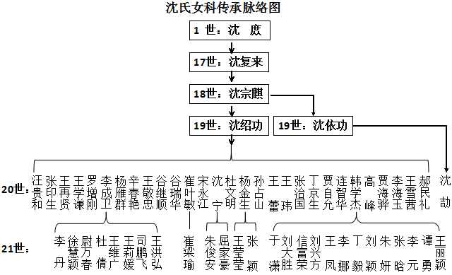沈氏女科流派