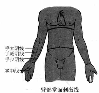 飞针技术手部刺激线