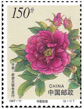 亦食亦药话玫瑰