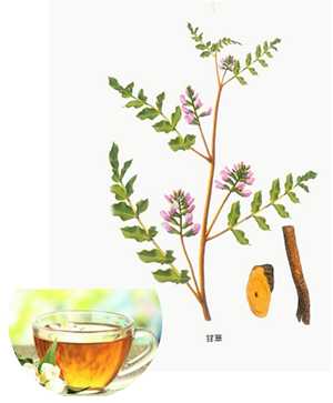 甘草的文化意义和药用功效