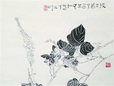 葛 今日常用药 古时作衣裳