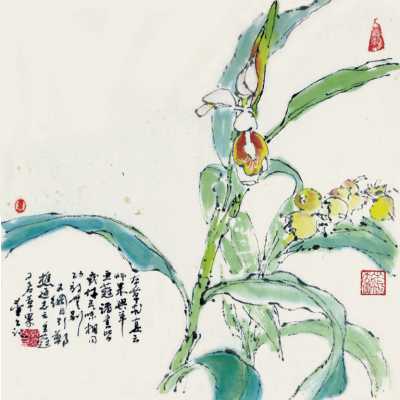 豆蔻年华话豆蔻