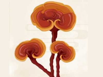 诗词中的灵芝及其药用价值