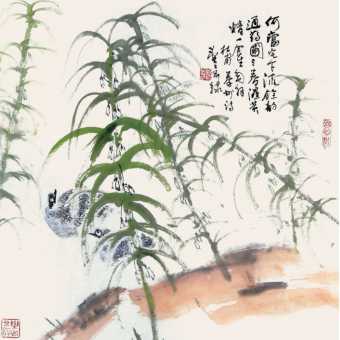 三春湿黄精 一食生毛羽